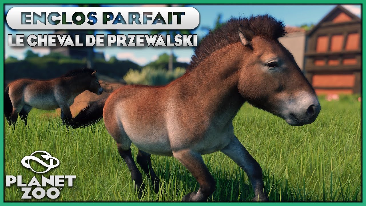 Le Cheval de Przewalski | LES ENCLOS PARFAITS : EPISODE 99 | PLANET ZOO