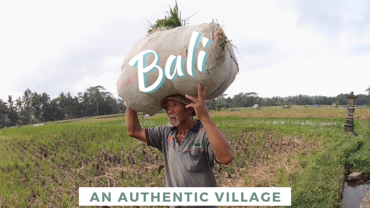 BALI: an authentic village nearby Ubud - video tour by wówtravels Indonesia