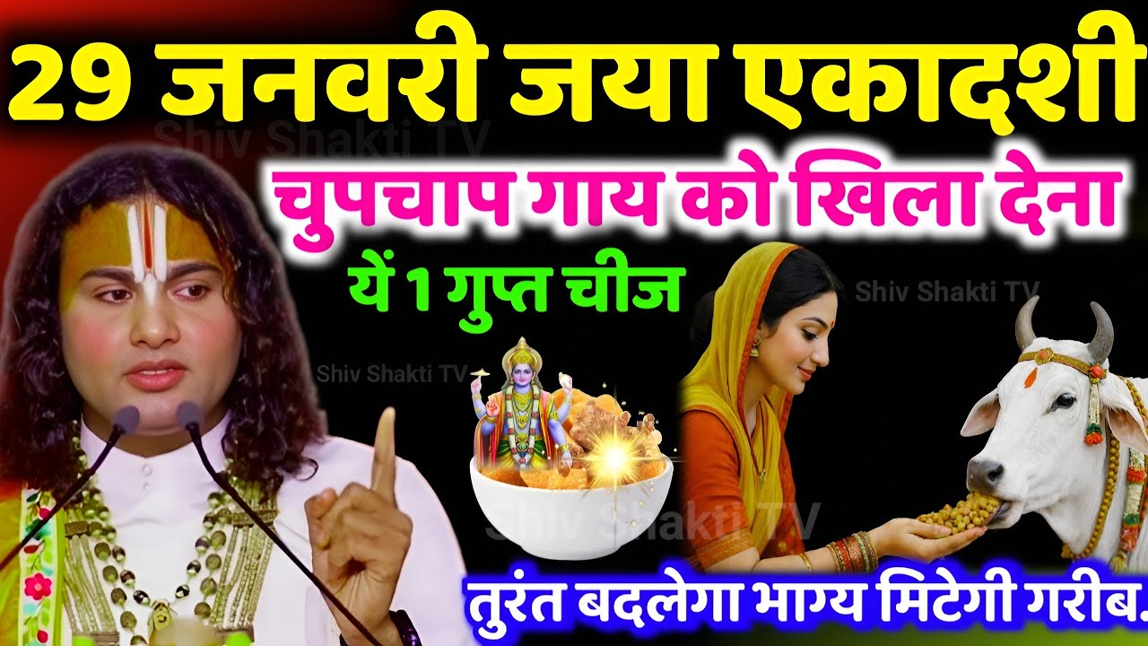 29 जनवरी 2026 जया एकादशी के दिन चुपचाप गाय को खिला देना, यह 1चीज मिटेगी गरीबी बरसेगा रुपया पैसा upay
