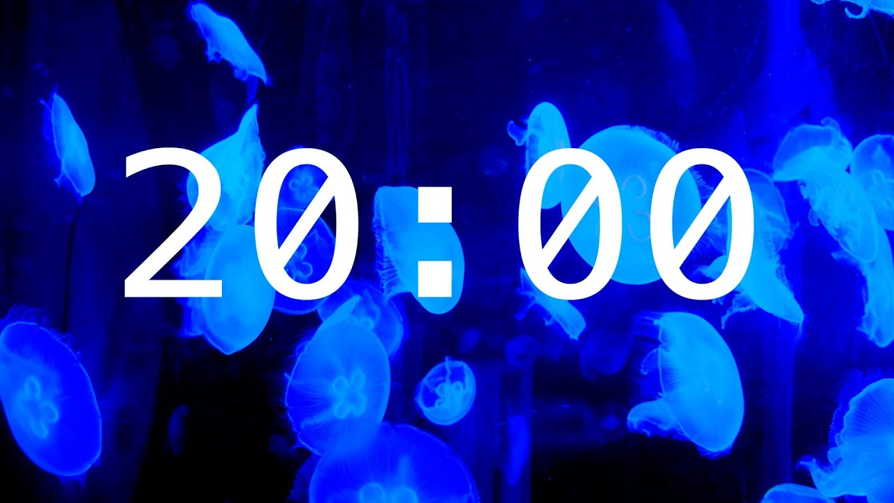 20 Minute Countdown Timer with Alarm | Colorful Jellyfish Timer with Soothing Music 🪼