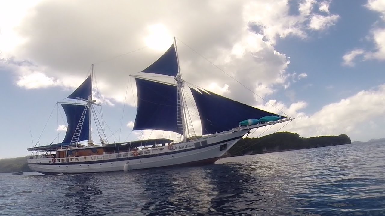 The Siren - Liveaboard in Palau