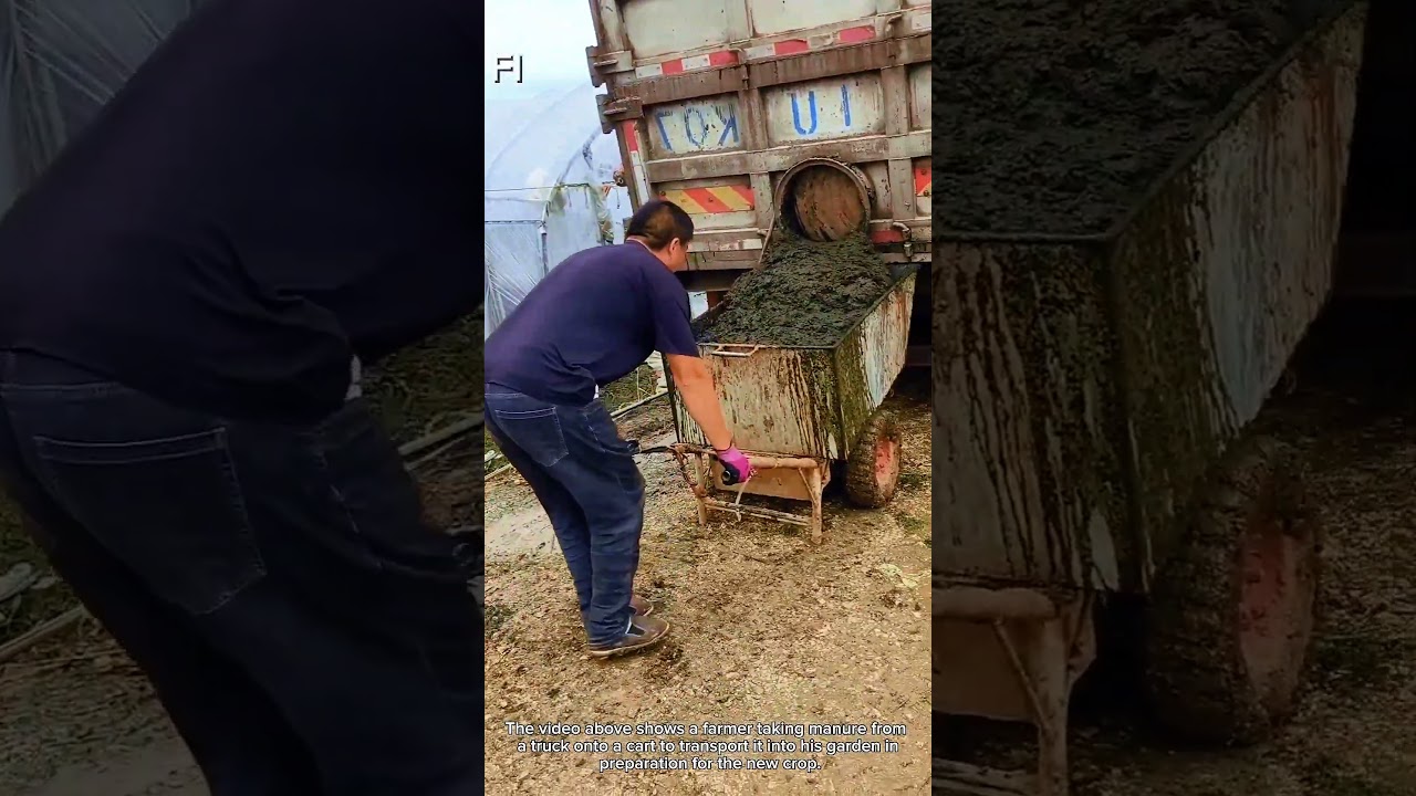 Animal manure is very good for growing crops