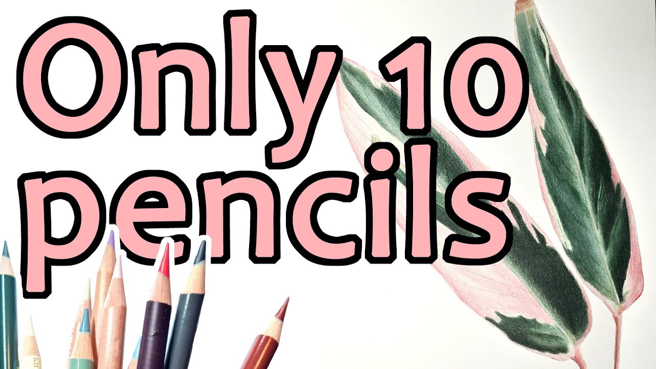 BOTANICAL ART - Drawing smooth leaves with colour pencil using only 10 colours. Leaf tutorial