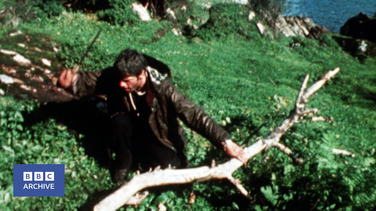 1975: Surviving For Two Weeks on the Garvellachs | Nationwide | Weird and Wonderful | BBC Archive