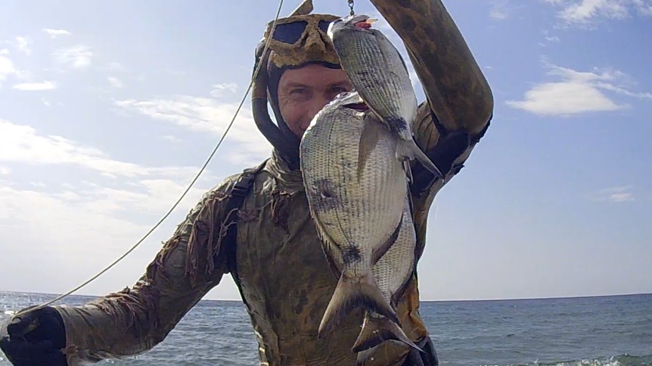 PESCASUB: 