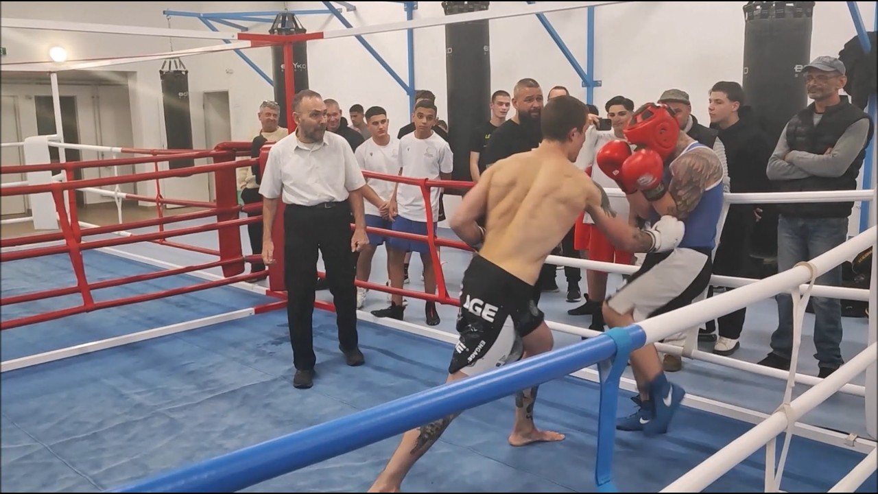 Militans MMA - Exhibition Fights In Dunaújváros