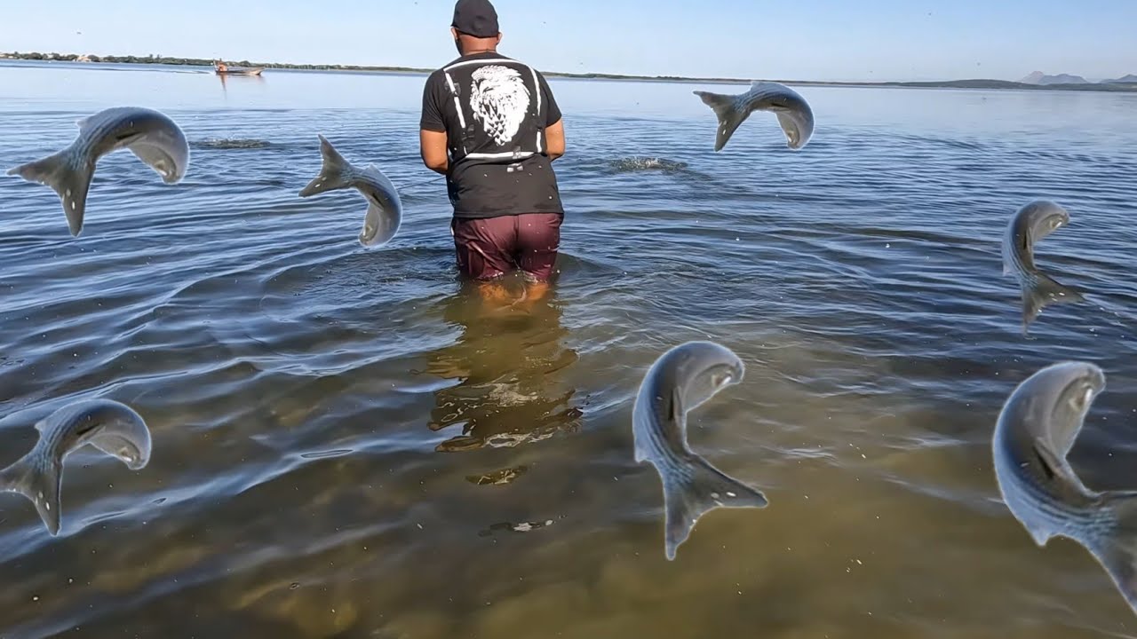 A MAIOR QUANTIDADE DE PEIXE QUE VIMOS AQUI