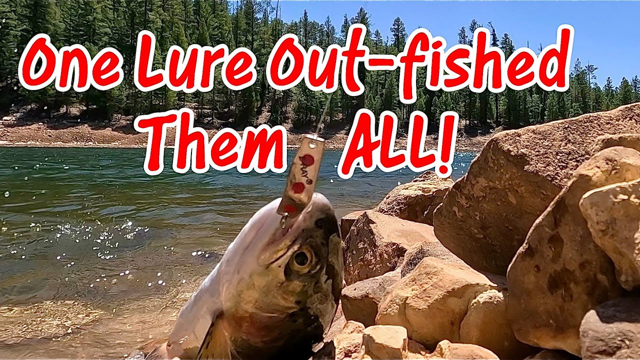 A Z-Ray Kind of Day!  Trout Fishing Knoll Lake Fishing Report April 2025 | Fishing Tips and Tactics