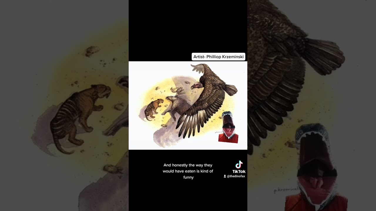 САМАЯ БОЛЬШАЯ летающая птица!