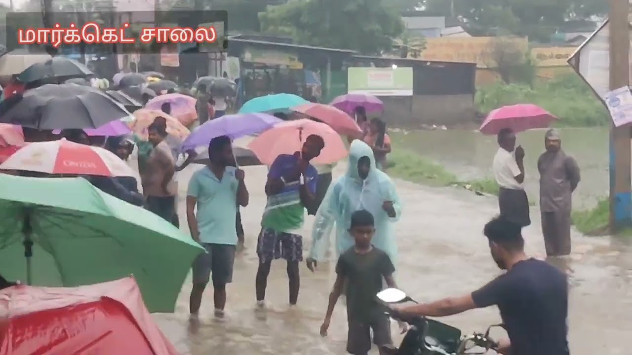 ஆலங்குளம் தொட்டியான்குளம் உடைந்ததால் வெள்ளப்பெருக்கு- மக்கள் திரண்டதால் பரபரப்பு