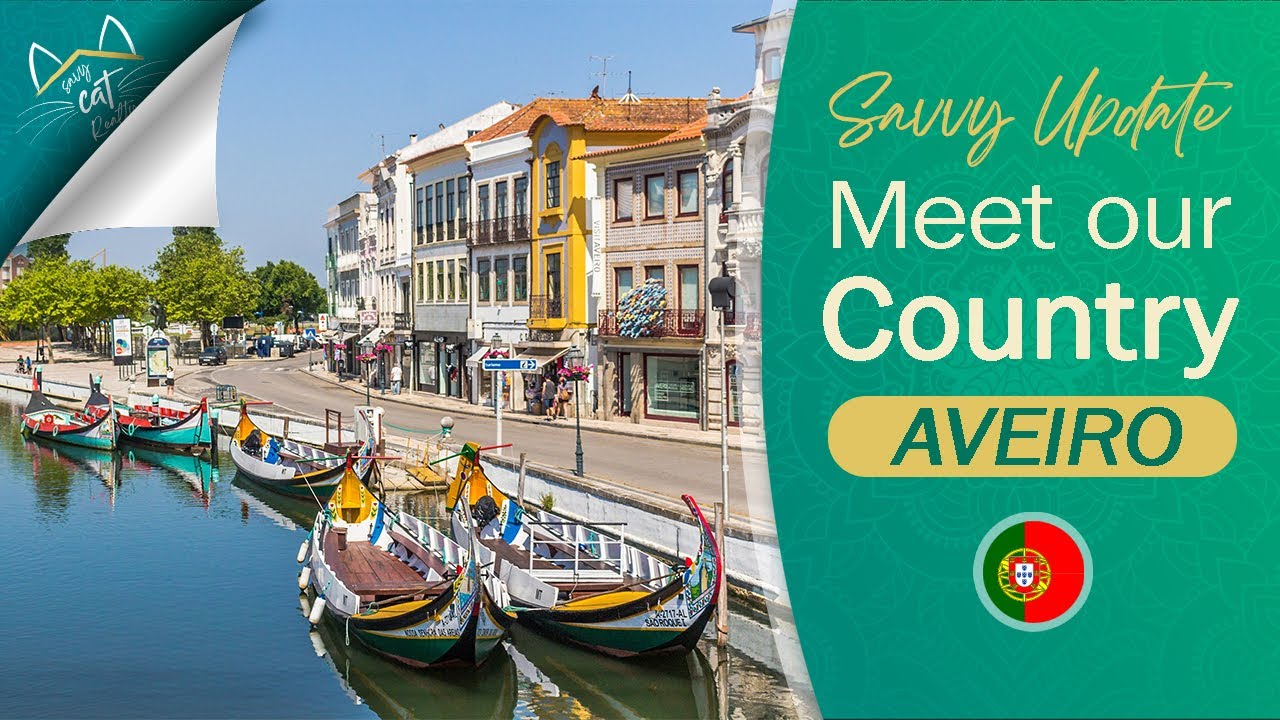 Cool Cat Portugal   Exploring AVEIRO