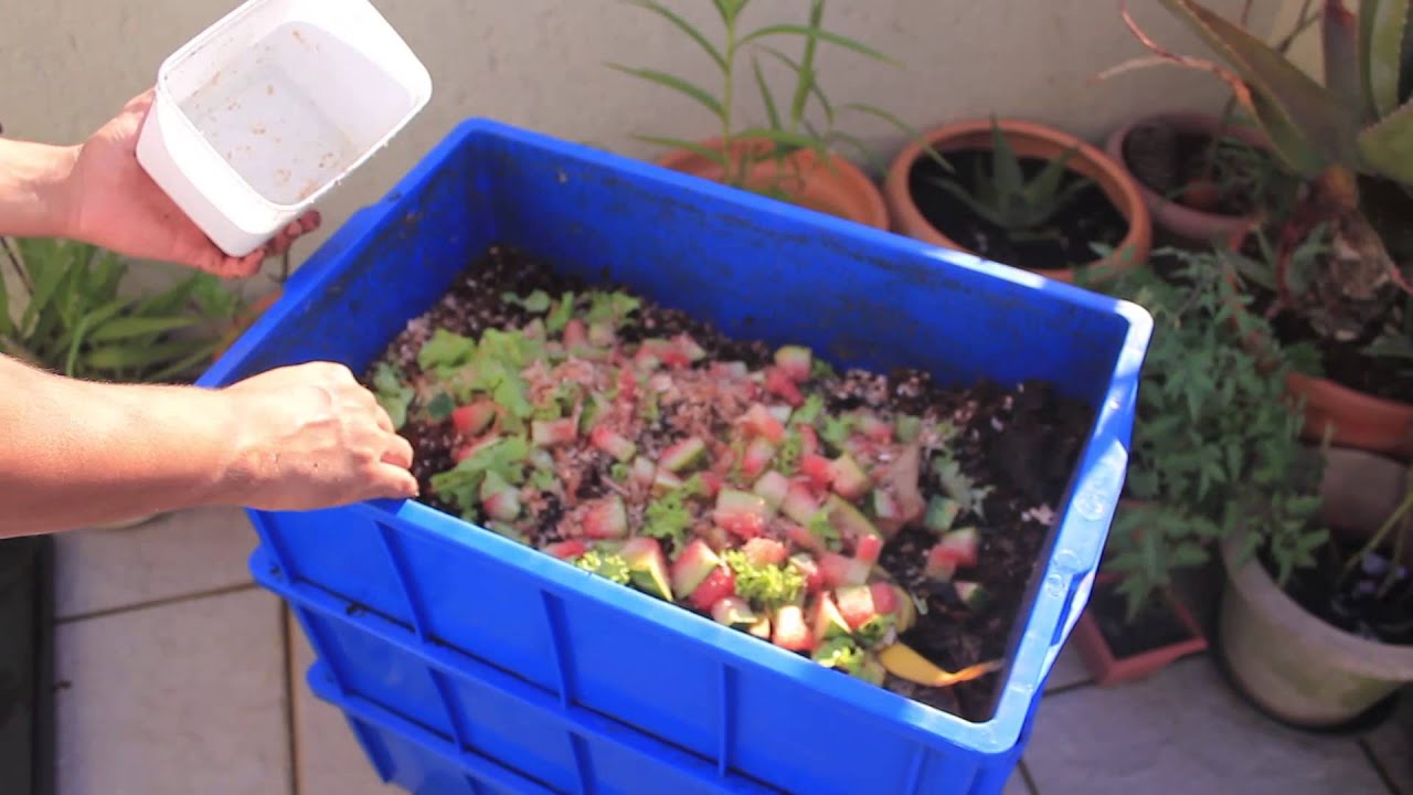 Minhocário Caseiro - Simples Compostagem