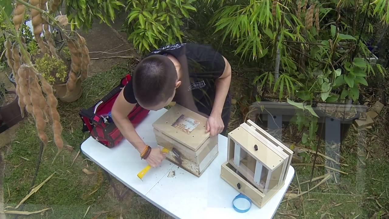 Bee Yourself - Native Stingless Bee Hives