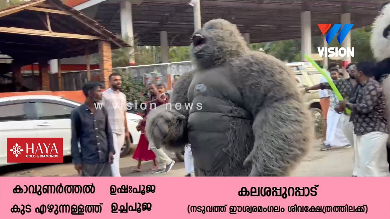 കാളികാവ് ഭഗവതി ക്ഷേത്ര താലപ്പൊലി മഹോത്സവം കൊടിയിറങ്ങി.