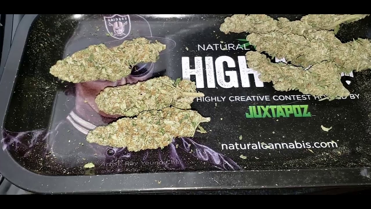 2020 Outdoor No Till Grow Episode 21