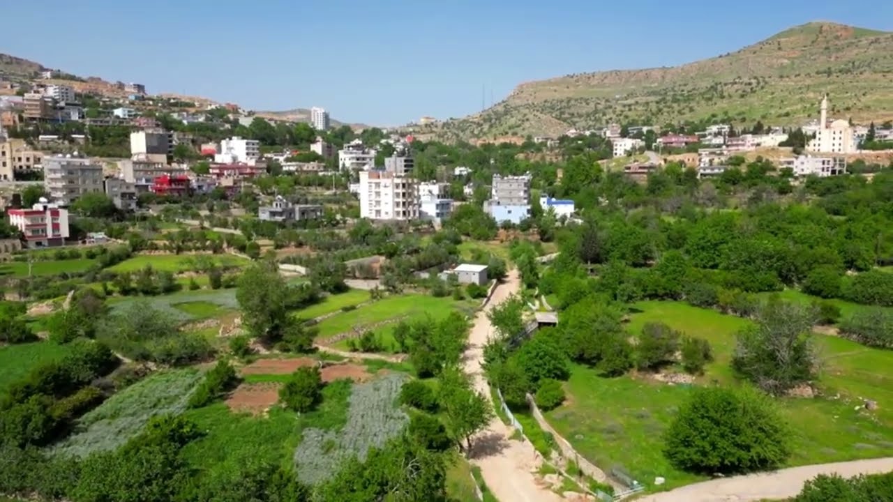 Yeşilli /   