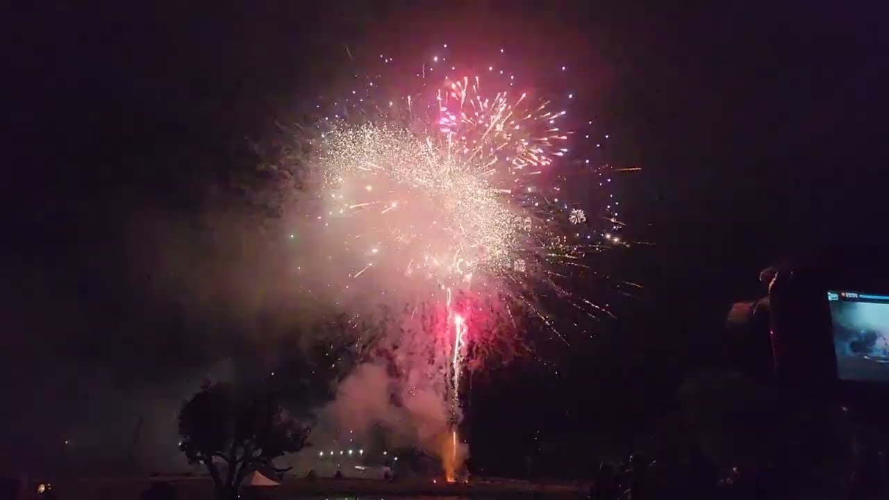 July 1st, 2023 Backyard fireworks display! The end is nuts.