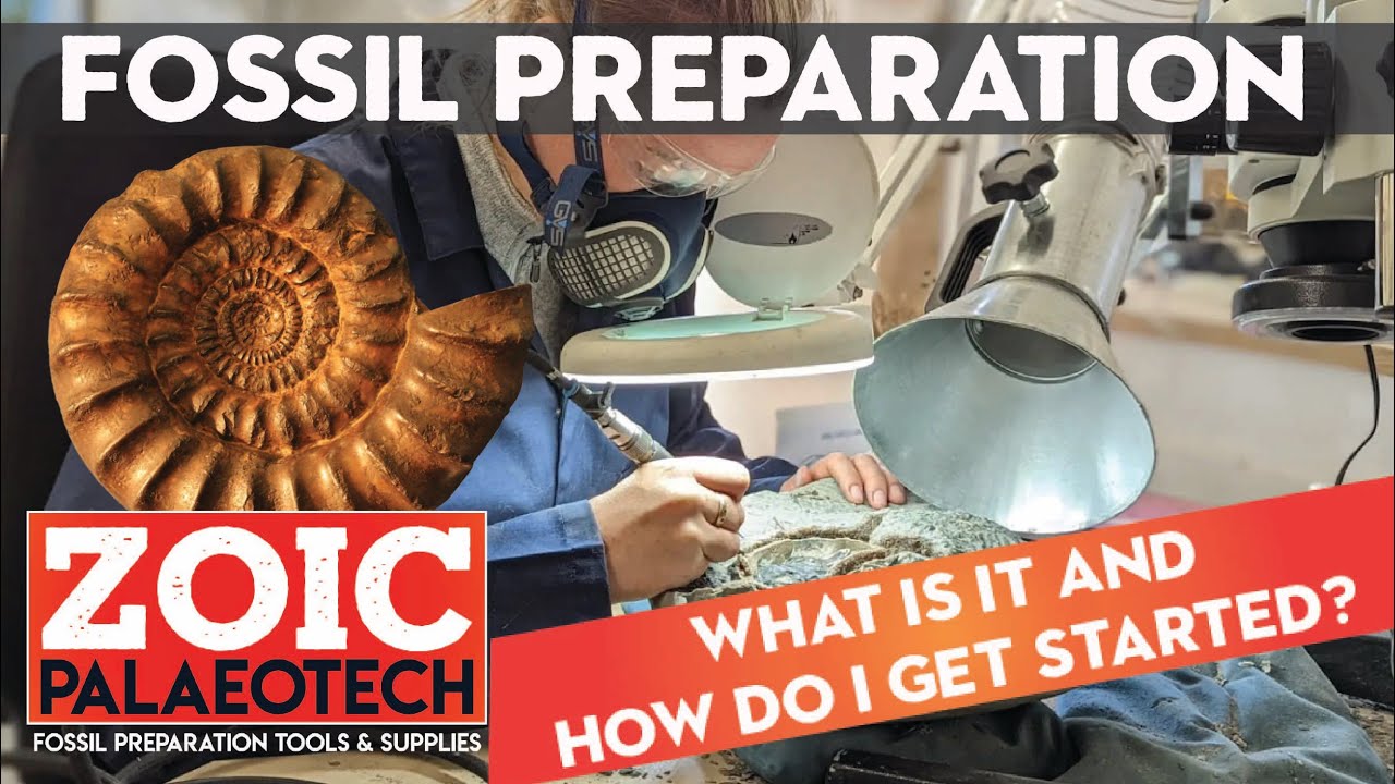 What is Fossil Preparation and how do I get started?