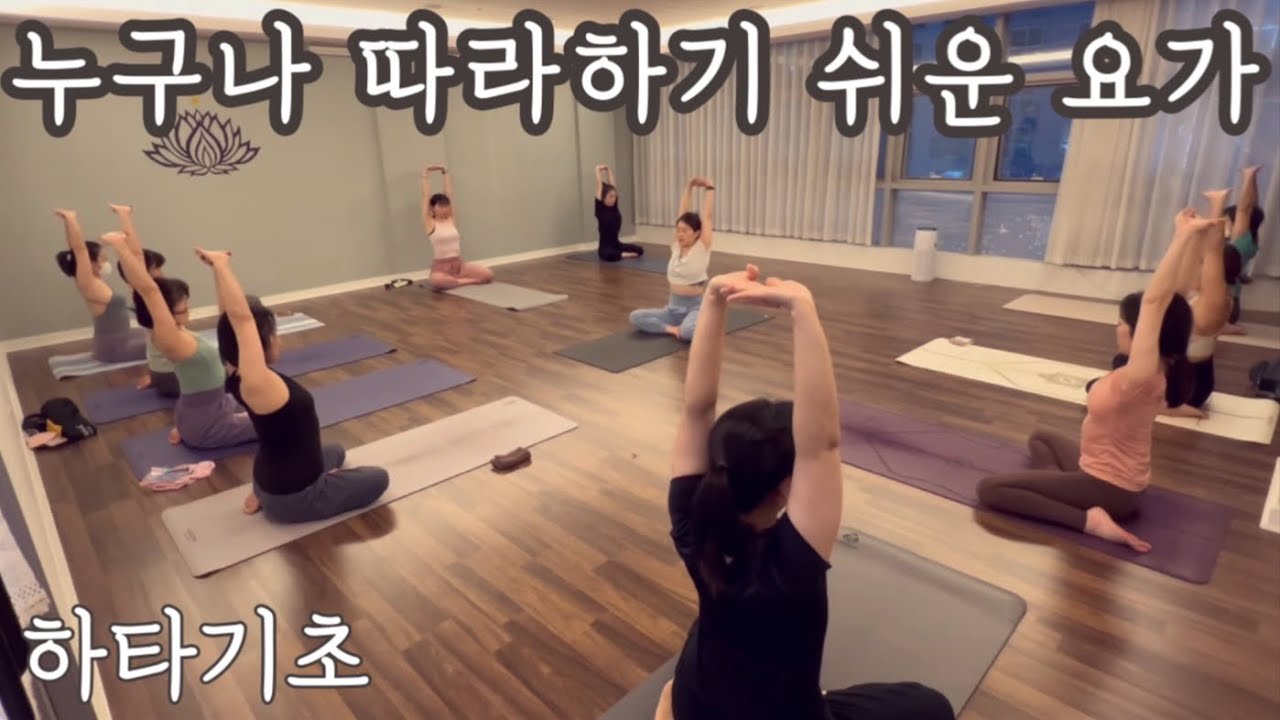 [엔젤요가] 누구나 따라하게 쉬운 요가기초 | 팔로미요가 | 하루요가 | 매일요가 | 홈요가 | 비기너요가