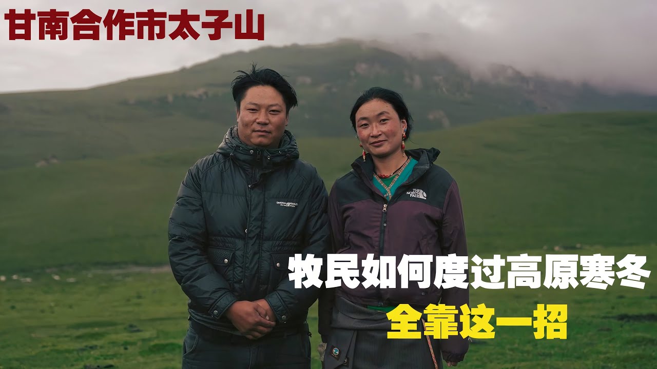 牧民如何度过高原寒冬，全靠这一招，太有智慧了！【小白的奇幻旅行】