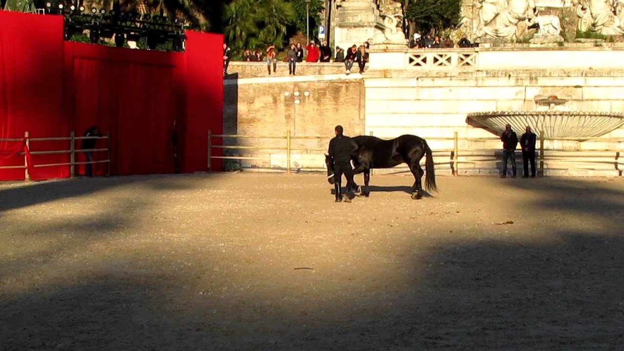 La presentazione del Cavallo Romano al CARNEVALE ROMANO 2013