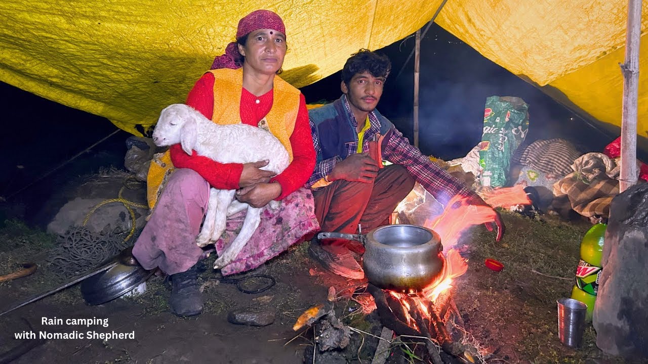 Night Rain Camping With Nomadic Shepherd: भारी बारिश और तूफ़ान के बीच महिला भेड़पालक खाना बनाती हुई
