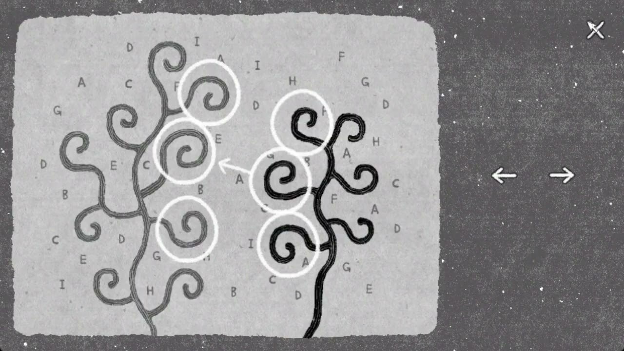 【HER TREES シリーズ】HER GASAES シリーズ