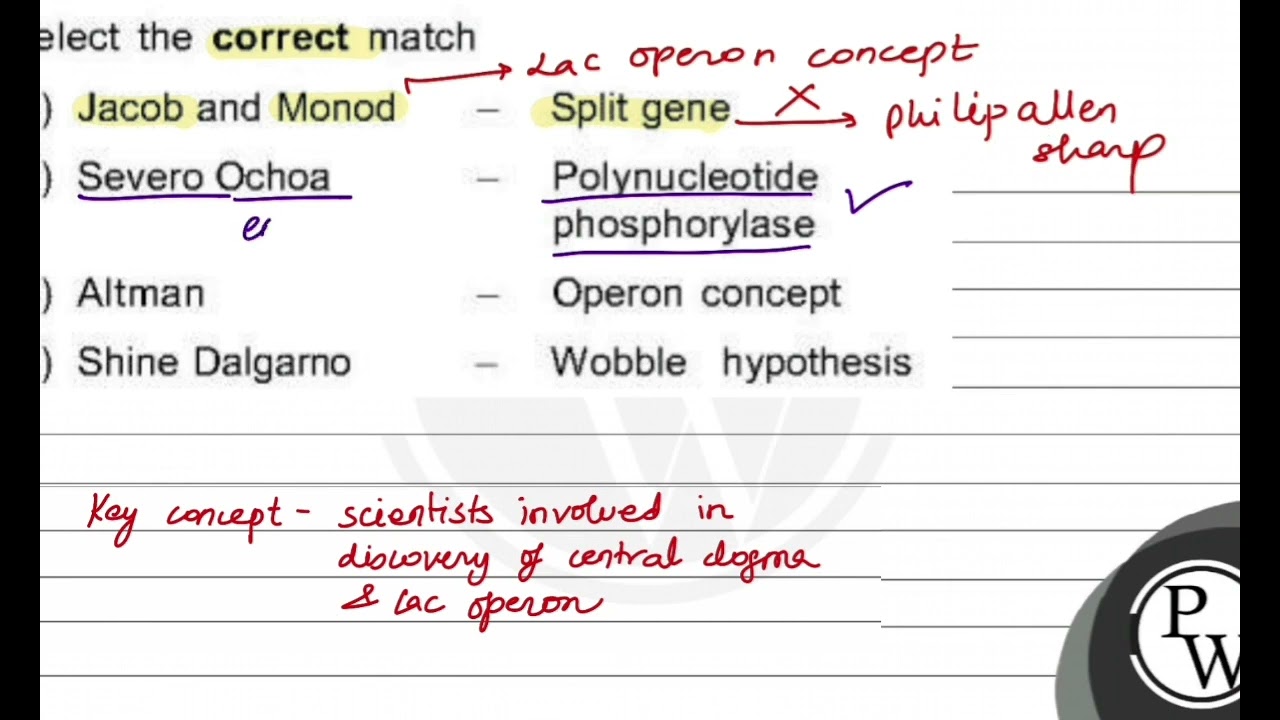 Select the correct match (1) Jacob and Monod \( - \) Split gene (2) Severo Ochoa \( \quad- \) Po...