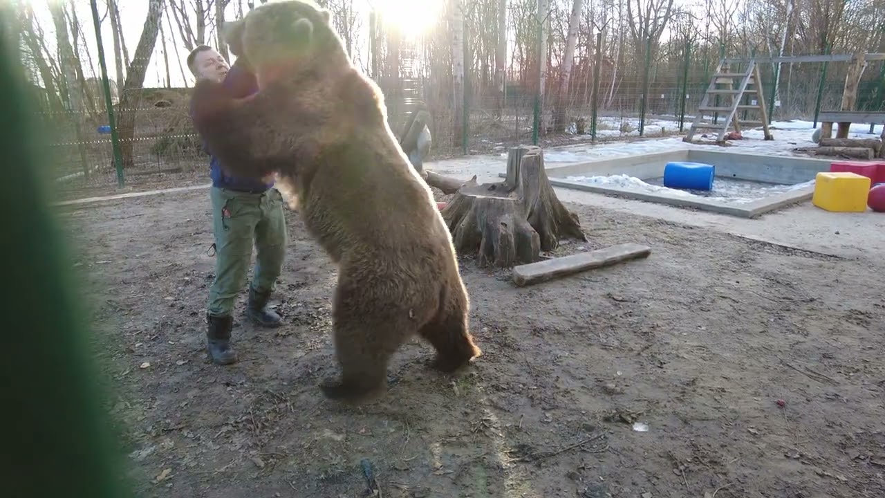 Вольная борьба с медведем
