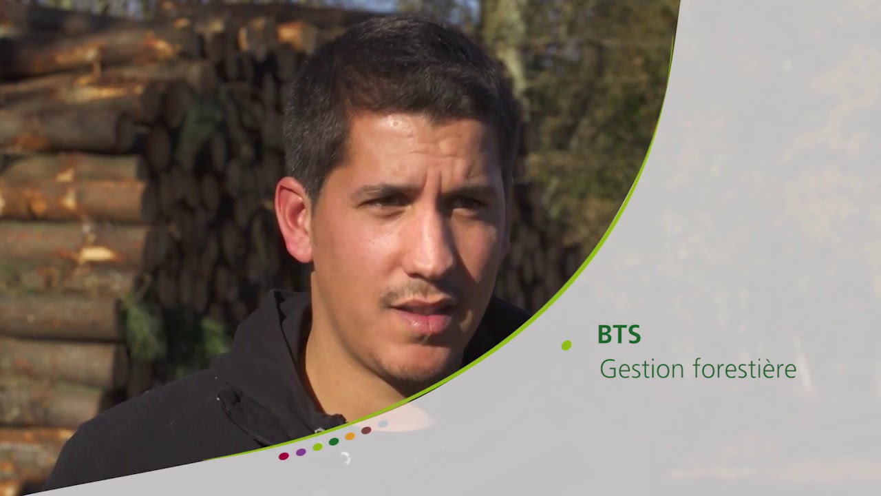 Florian, Conducteur d engins forestiers dans les Landes