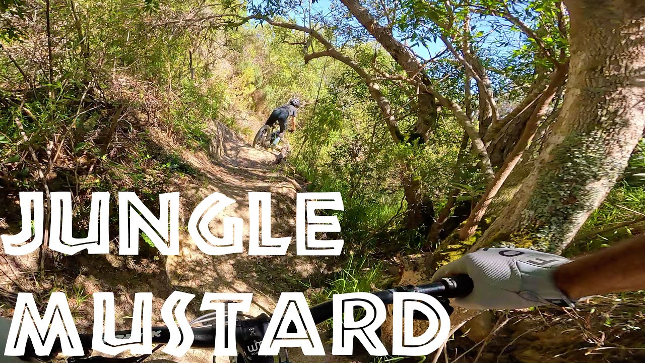 WOW | JUNGLE MUSTARD | Stellenbosch Trail Fund