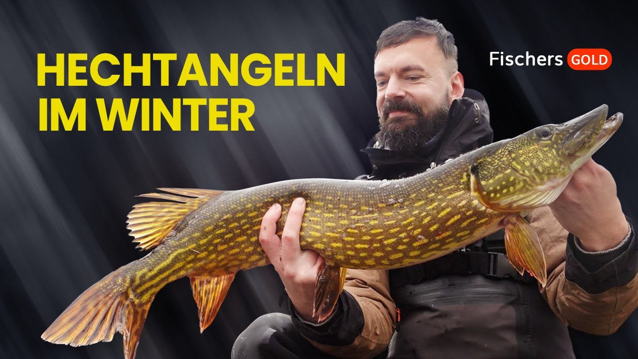 Hechtangeln im Winter - Mit Jerkbait zum Traumfisch