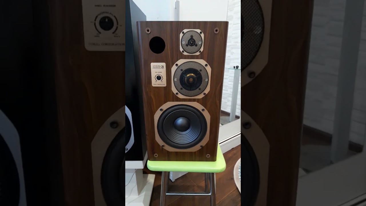 coral dx 3