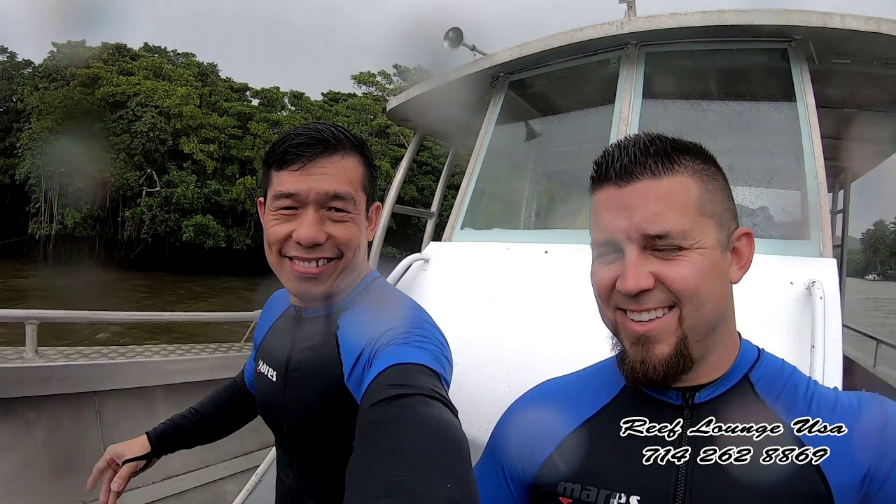 Reef Lounge USA: A Divers View of Asian Reefs