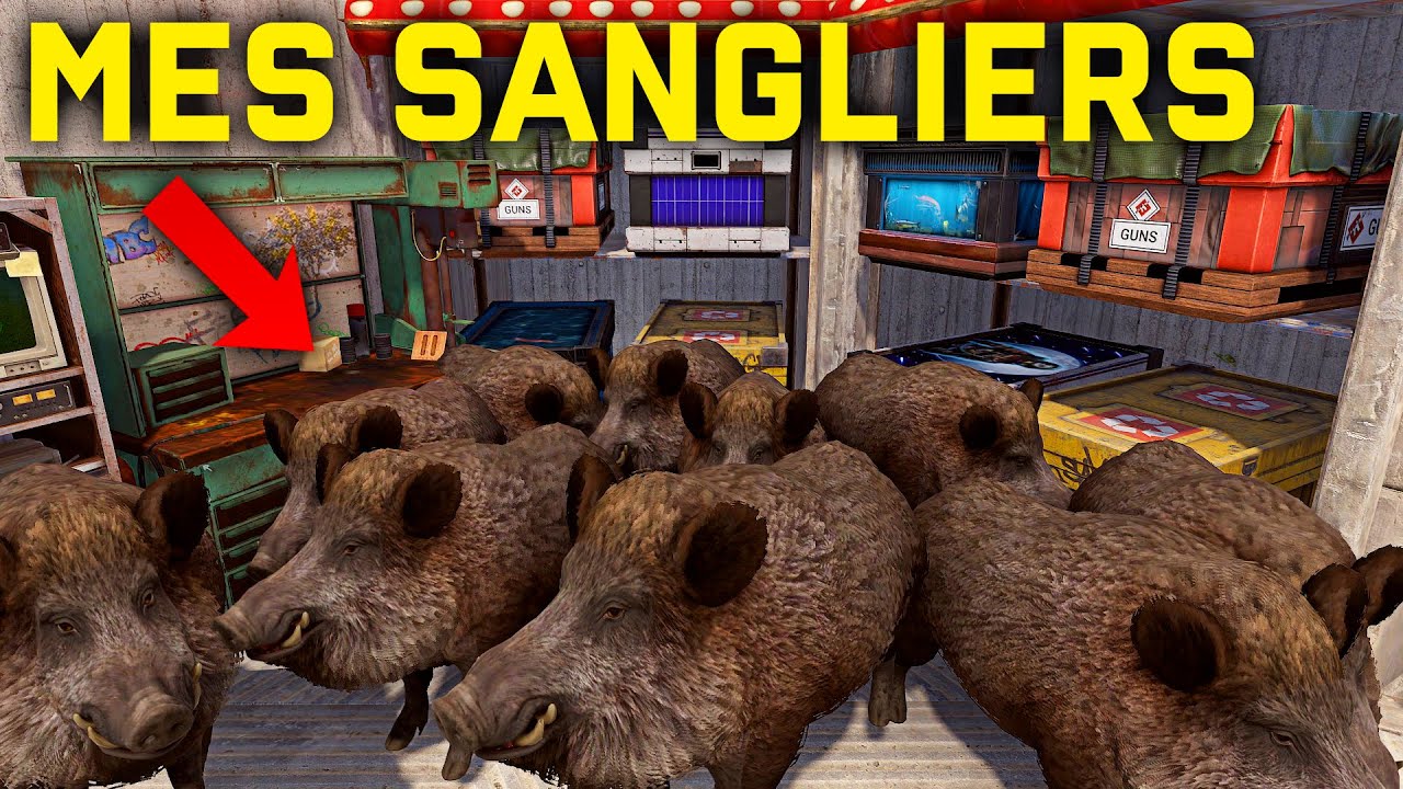 Oui, j'ai élevé des sangliers dans ma base...
