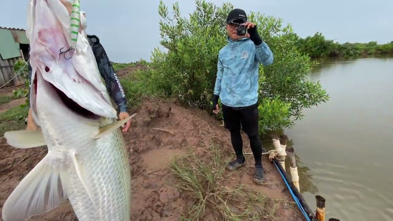 Lần đầu về Bình Đại Lure cá chẽm khủng, đụng quá nhiều Hugo nhưng….