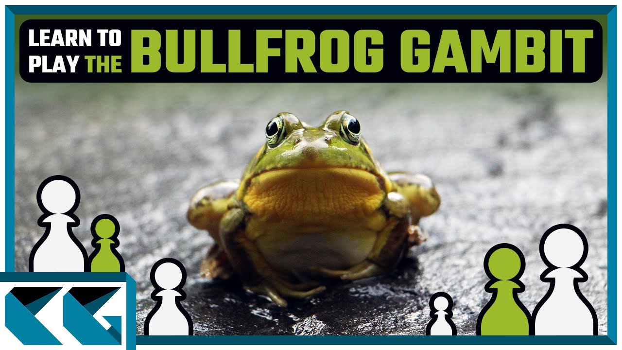 Chess Openings: Learn to Play the Bullfrog Gambit!