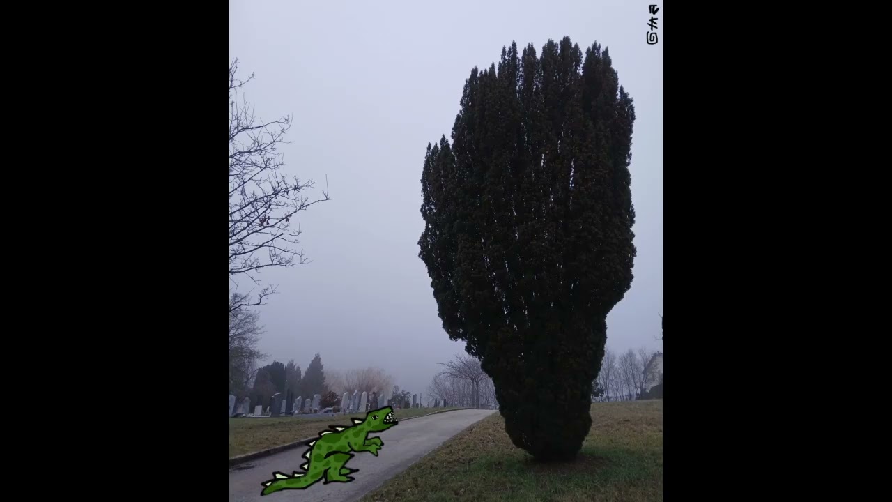 ONION - Transit