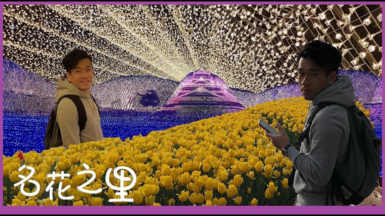 [鬰金香花海vs燈海] 名古屋打卡必到之地 - 名花之里