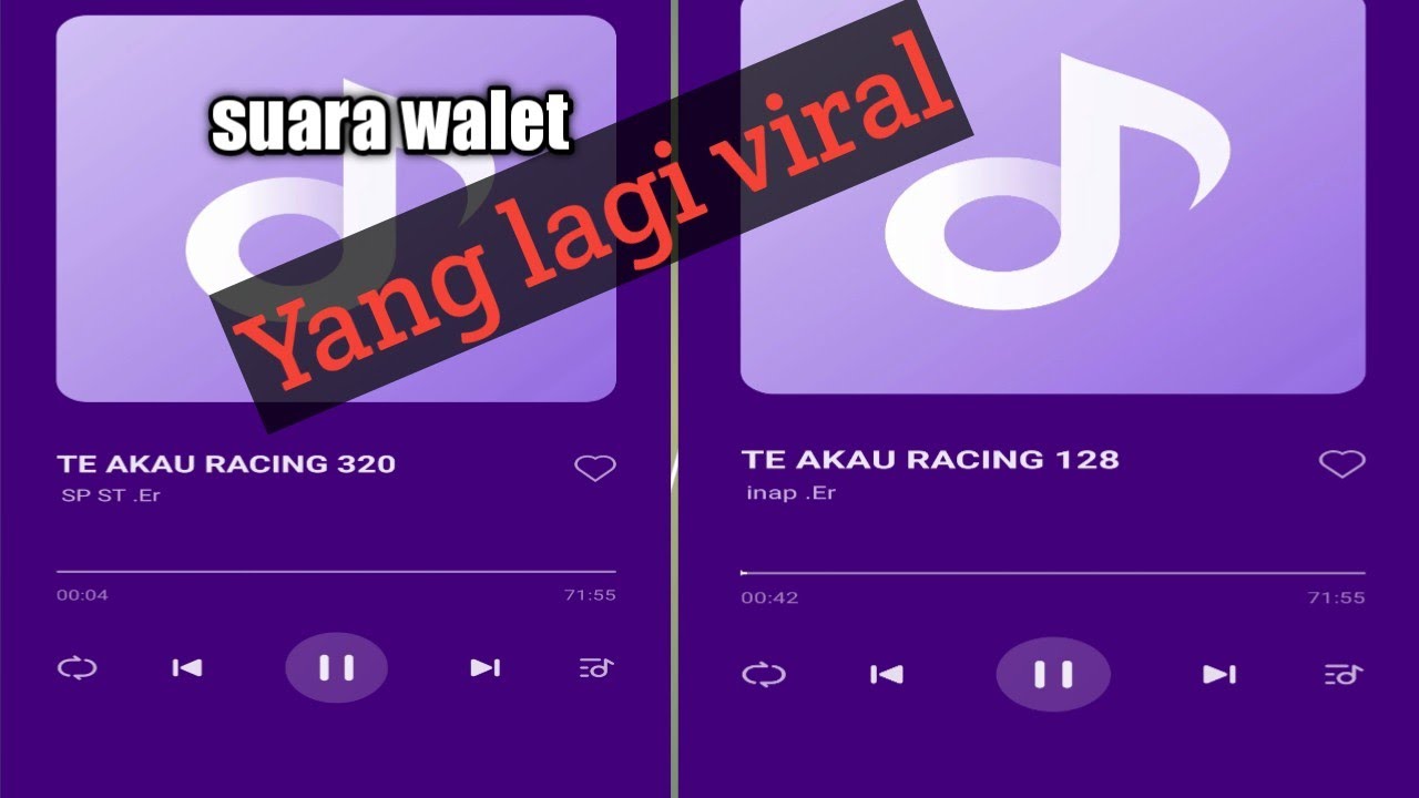 Suara Akau Racing, banyak dicari petani walet. konon bermahar 30 juta