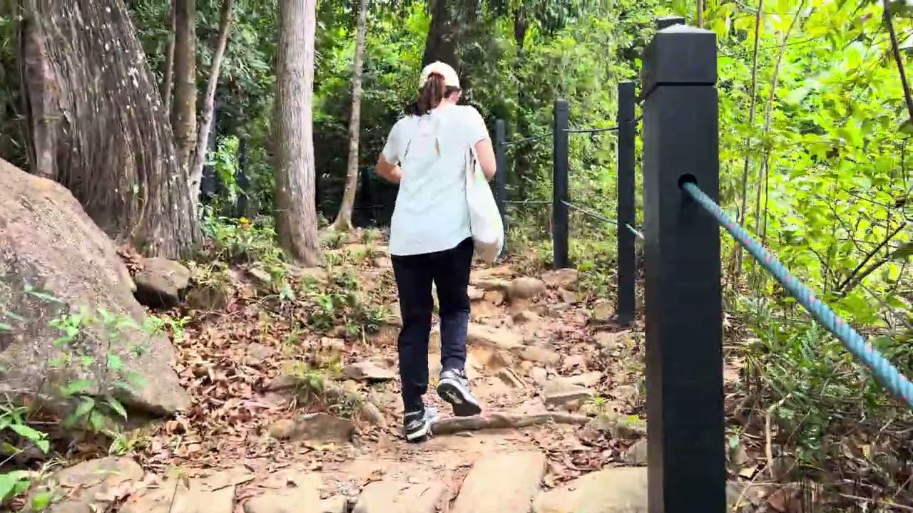 [4K] Singapore Pulau Ubin Puaka Hill (Bukit Puaka) Hike