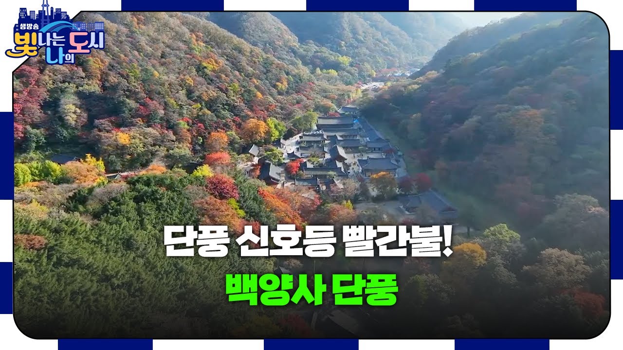 🔴단풍 신호등 빨간불! 대한민국 8경 백양사 단풍 클래스 제대로 즐기는 법 (ft. 10종 버섯전골) | [#빛나도 | 25.11.13]