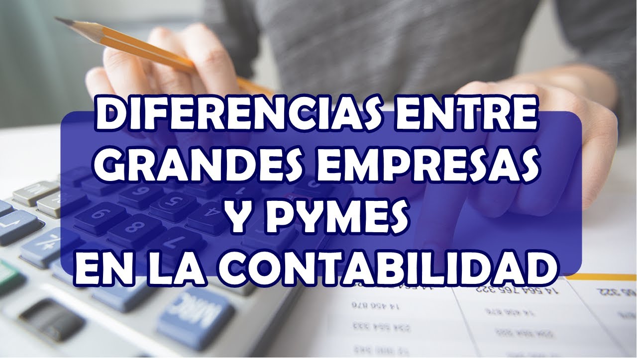 DIFERENCIA ENTRE GRANDES EMPRESAS Y PYMES EN LA CONTABILIDAD