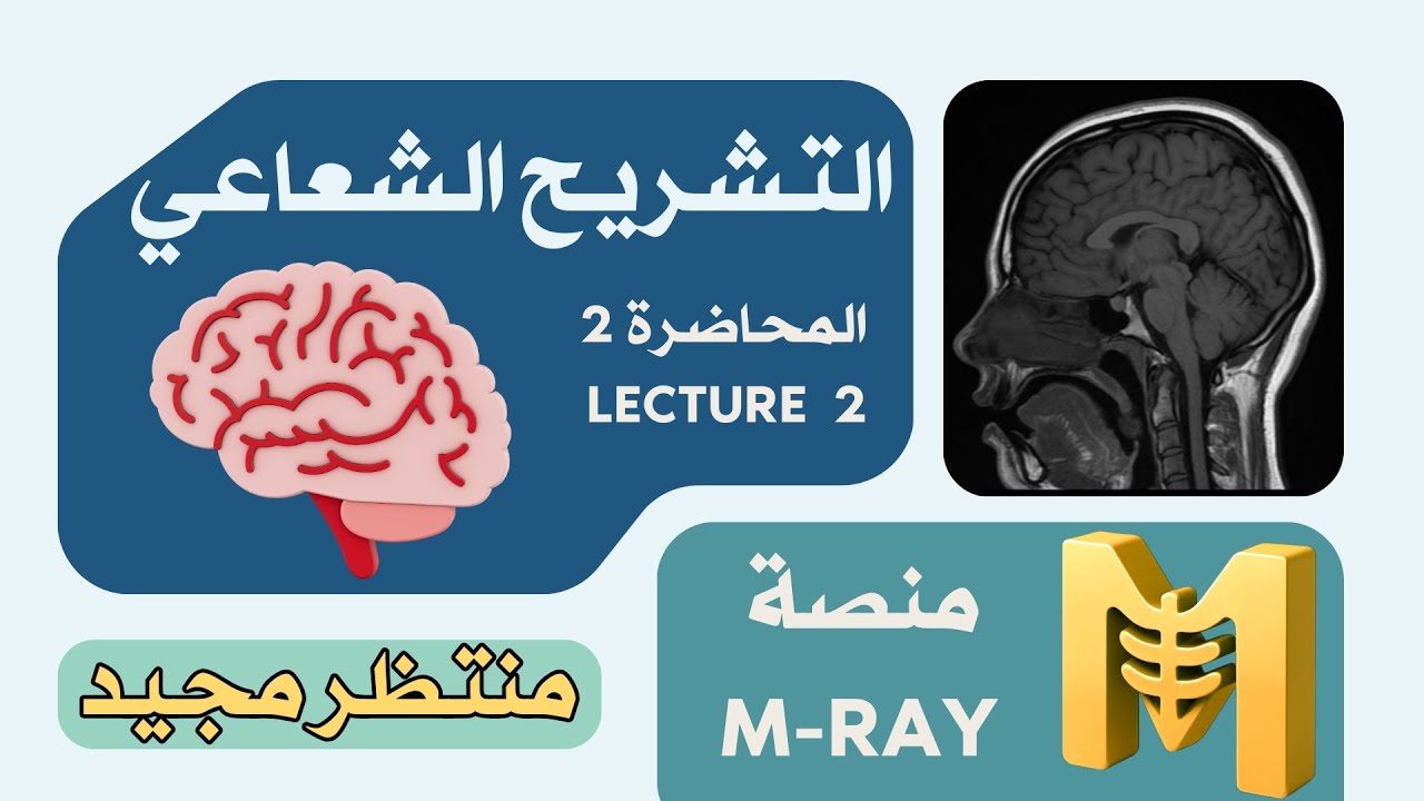 التشريح الشعاعي - المحاضرة الثانية | كاملة