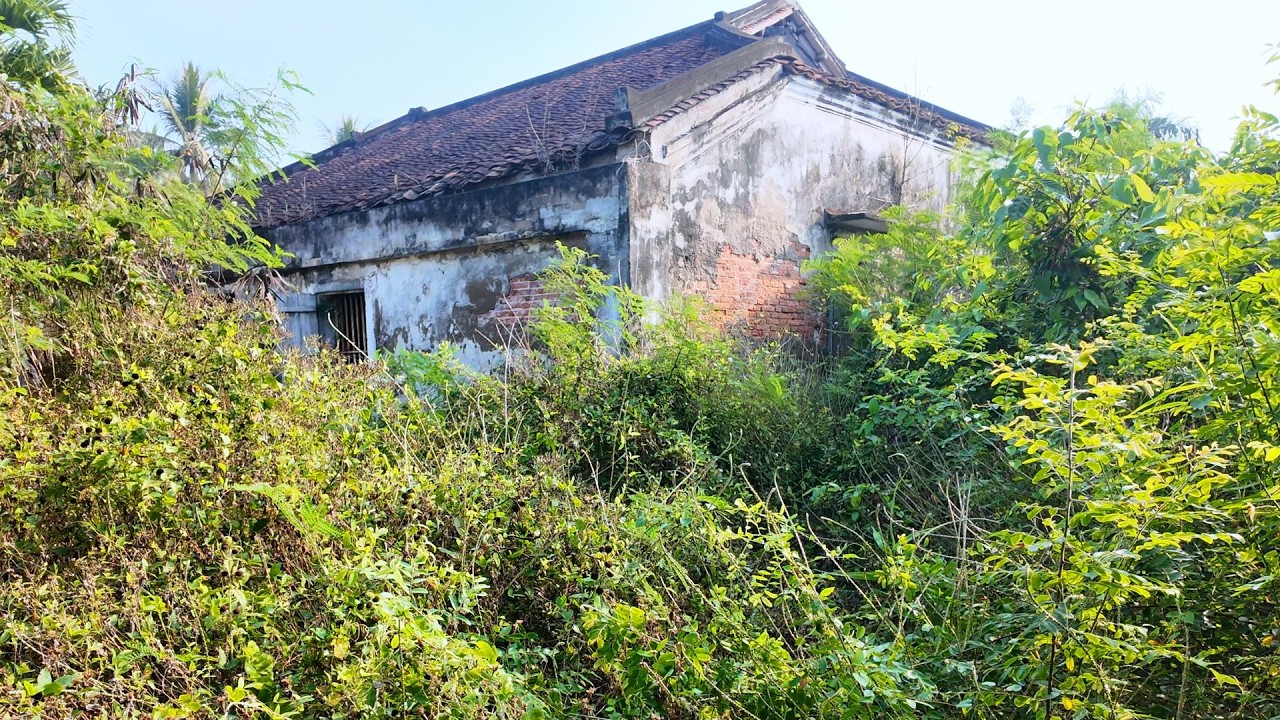 TIME LAPSE - 72 HOURS to Revive a 120-Year-Old French Colonial Abandoned House