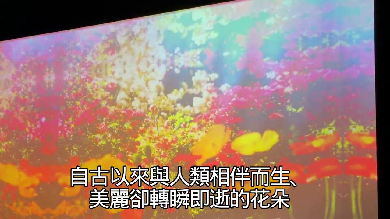 2026/3月蜷川實花展with EiM：彼岸之光，此岸之影於台北華山文創園區。內容摘自聯合數位文創（下集）