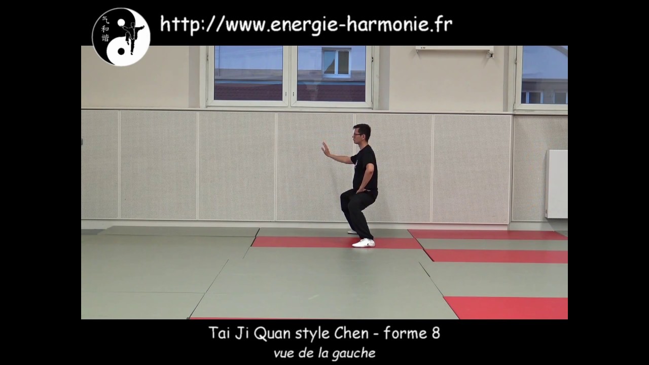 Tai Chi Chuan Forme 8 style Chen - 陈氏太极拳 8式 (vue de de la gauche)