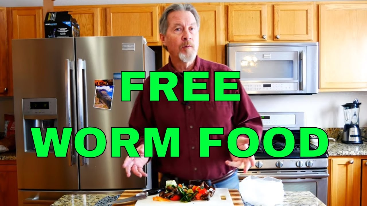 How and What to Feed Your Worms
