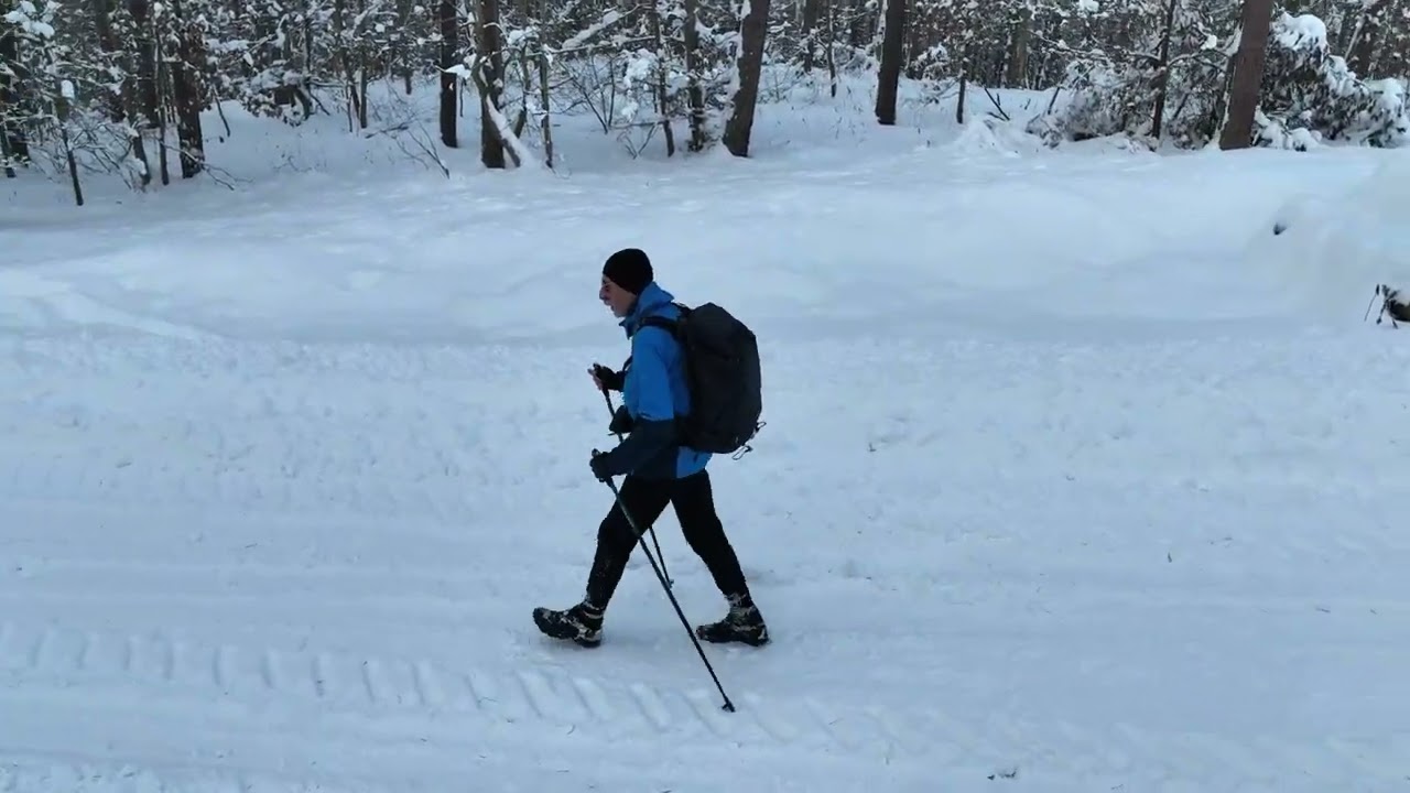 Zimowe Nordic Walking