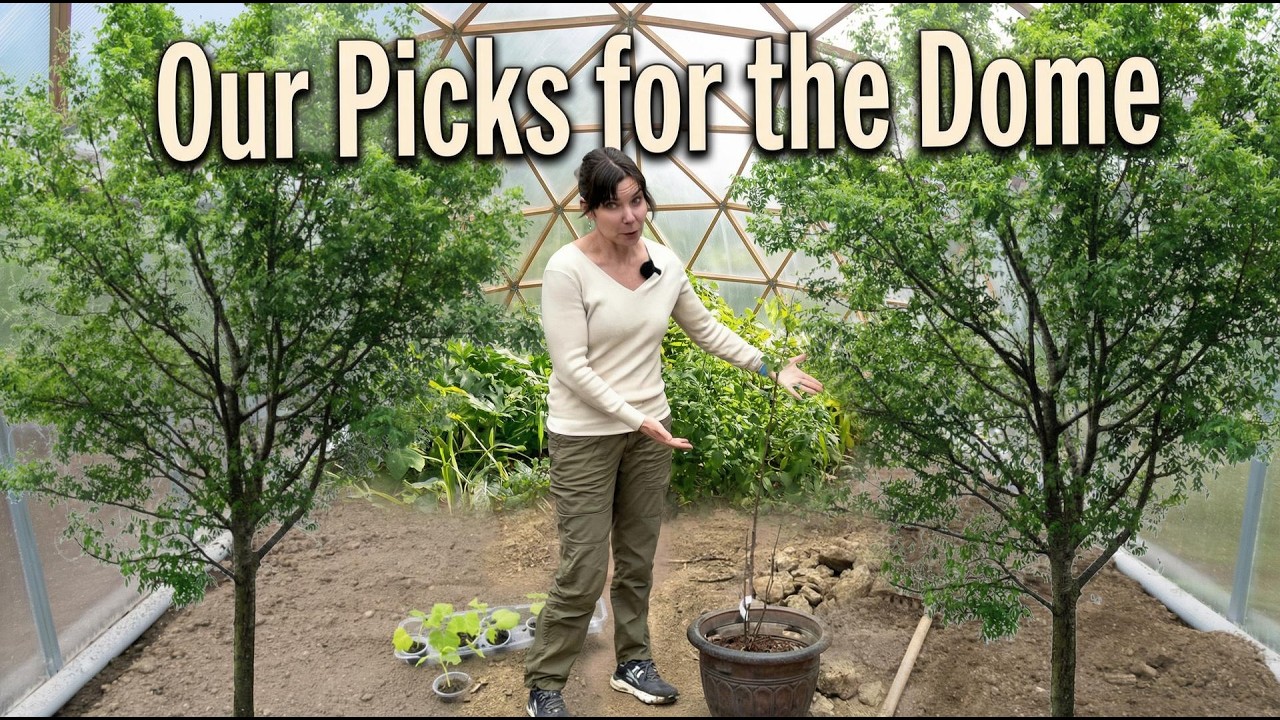 Growing Trees INSIDE a Greenhouse? What’s Possible with a GROW DOME!